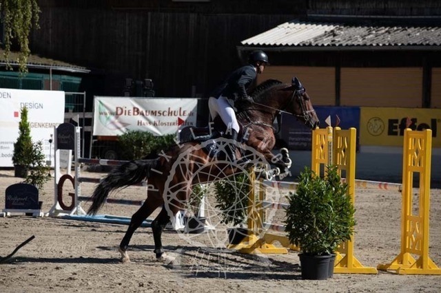 2B4A0440 | pixelfaenger - Realisiert mit Pictrs.com