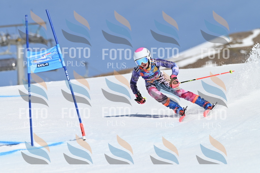 BGV_8782 | holidayphoto