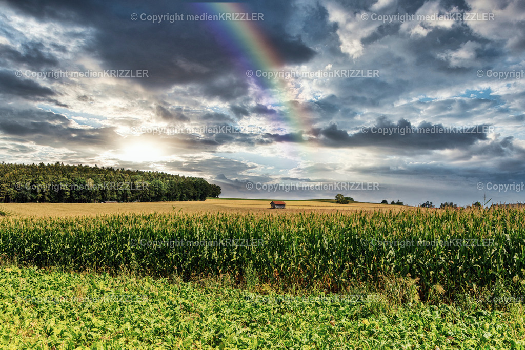 _J3A8408_wetter | medienkrizzler - Realisiert mit Pictrs.com