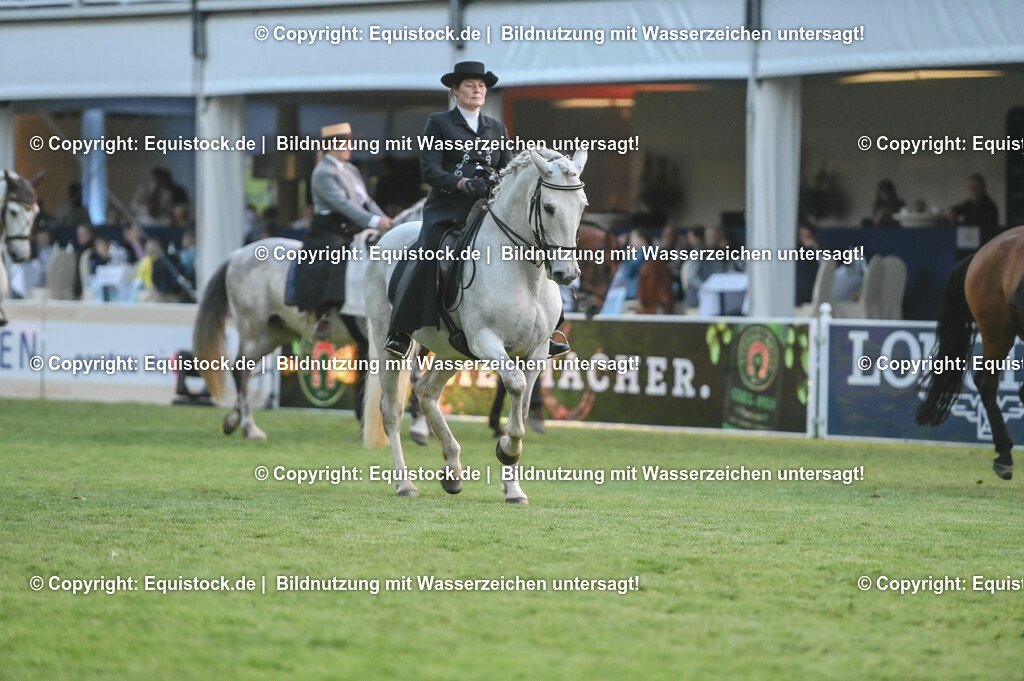 20230526_Pferdenacht_0776 | equistock