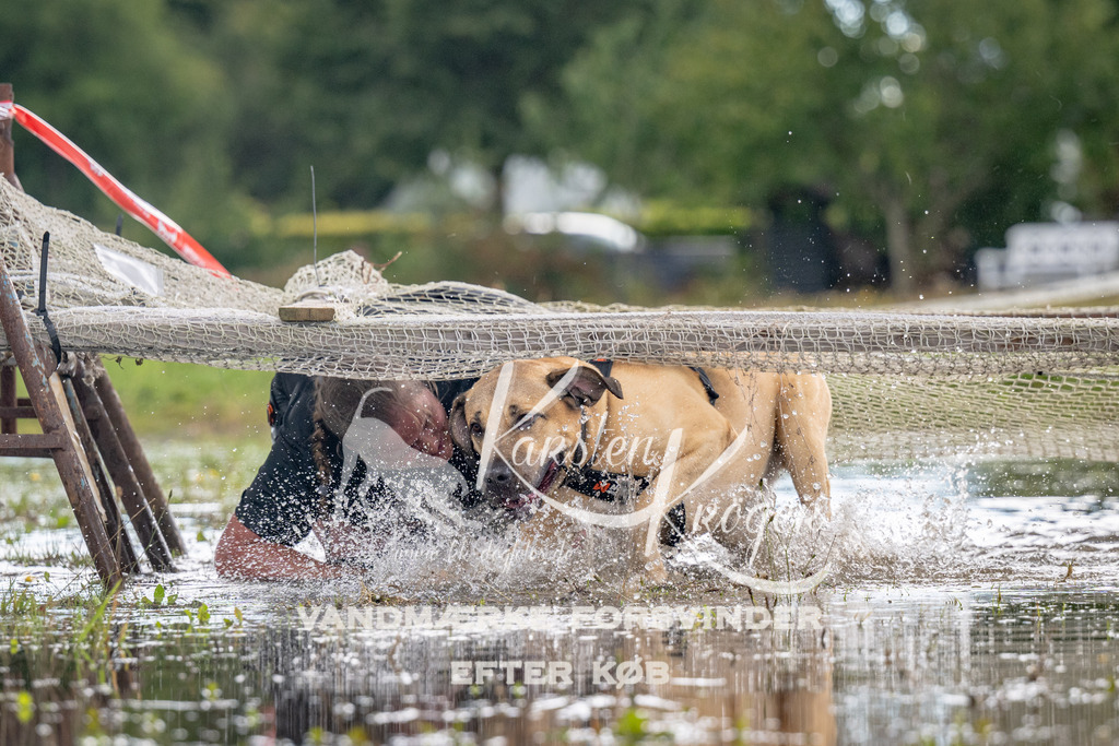 1352_ZZ90230 | kk-dogfotos