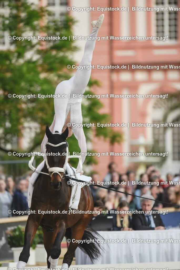 20230527_Voltigieren_NASPA_Flutlicht_0145 | equistock