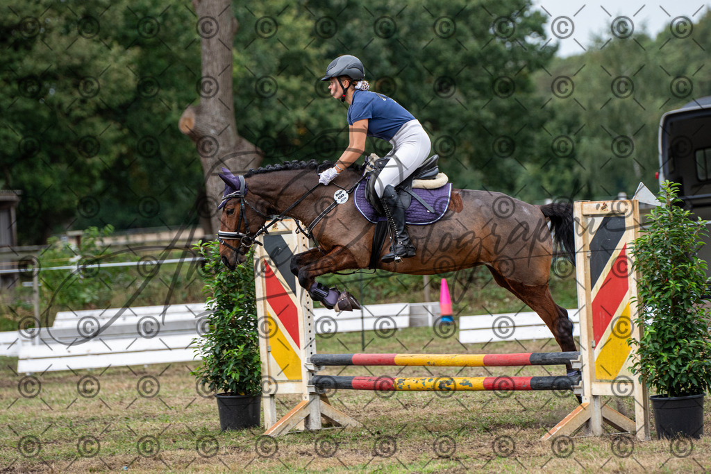 SHT_7713 | andre_photographic