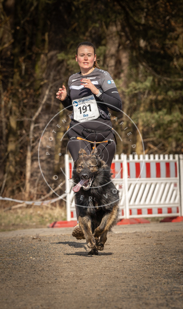 DV3A5739 | Hundefotografie, Tierfotograf, Pfotenfotografie, Fotoshooting Hund, Hunde Portrait, Hundesport, Hundeportraits, Heideshooting, Hunde, Sportfotograf, Hundefotograf, Turnierhundsport, THS,  - Realisiert mit Pictrs.com