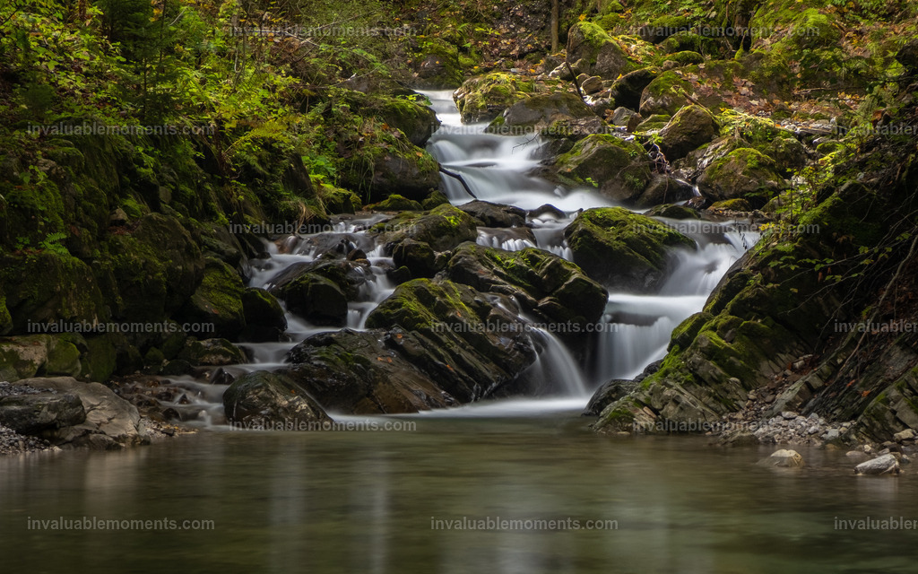 DSCF1839 | invaluablemoments.com - Realisiert mit Pictrs.com