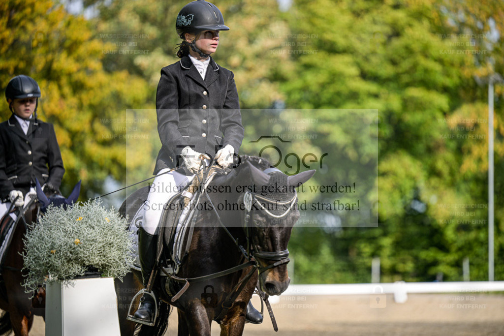FOTO OGER | Entdecke hochwertige Reitturnierfotos von Foto Oger. Professionell, emotional und authentisch – jetzt Lieblingsmomente im Shop bestellen. - Realisiert mit Pictrs.com