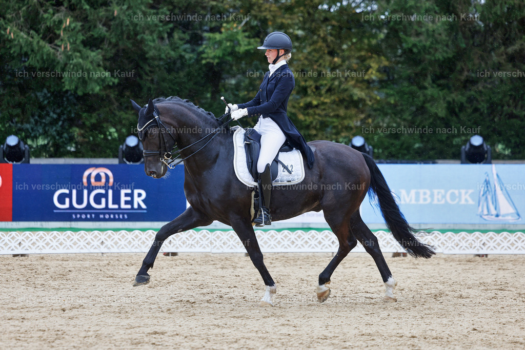 8_1-212-Klasse S_  -StoibPH-3931 | working equitationturnier fotograf videograf stoibphotography marixx film working equitation deutschland reitsport turnierfotografie eventfotografie equestrian events