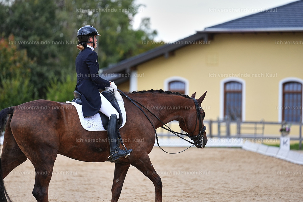 8_1-085-Klasse S_  -Marixx-4108 | working equitationturnier fotograf videograf stoibphotography marixx film working equitation deutschland reitsport turnierfotografie eventfotografie equestrian events