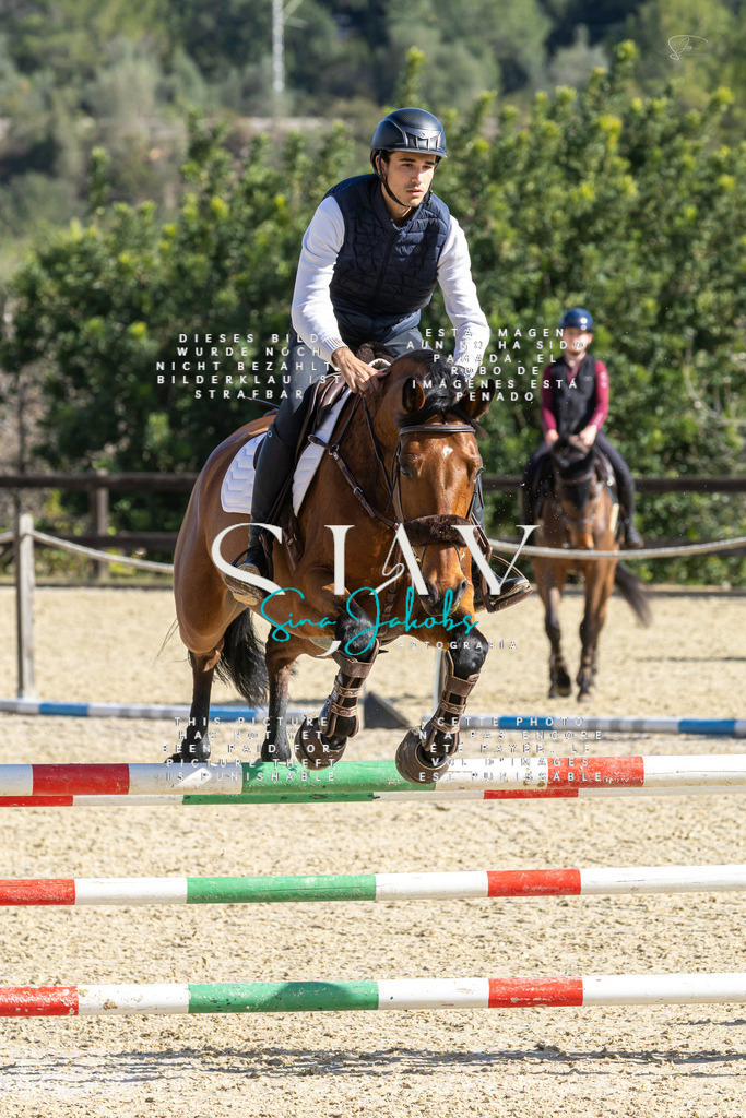 IMG_3962 | s-jay-photography - Realisiert mit Pictrs.com