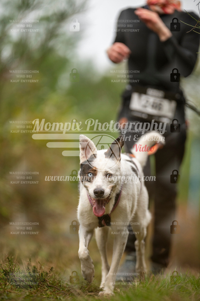 TSB_2023_E5_Canicross-161 | PayLife