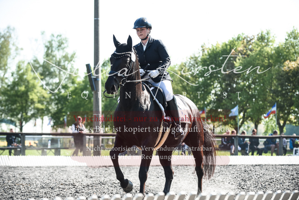 DSC_8631 | Pferde- und Turnierfotografie in Westsachsen. Pferdeportraits, Auftragszeichnungen und intuitive Kunst.