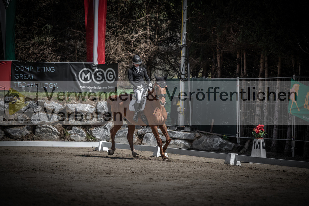 DSC_0729 | equestrian-live-com