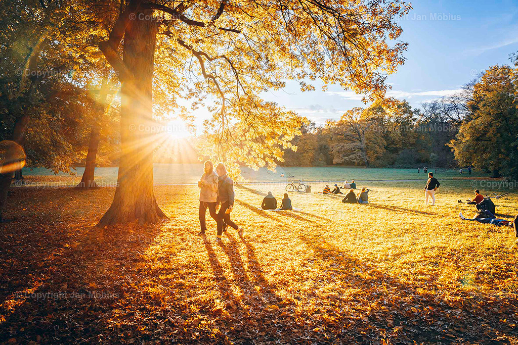 Clara Park | Der Clara-Zetkin-Park in Leipzig ist ein beliebter Ort für Natur, Sport und Erholung – perfekt für Spaziergänge, Jogging und entspannte Stunden im Grünen. - Realisiert mit Pictrs.com