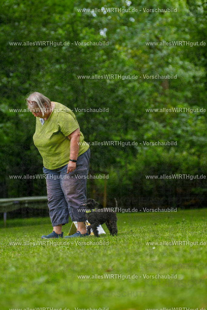 @allesWIRTHgut_Tierfotografie - www.allesWIRTHgut.de - 7R500353 | Professionelle Tierfotografie in Mönchengladbach von Daniel Wirth (allesWIRTHgut). Liebevolle & natürliche Bilder von Hunden & Katzen für unvergessliche Erinnerungen.