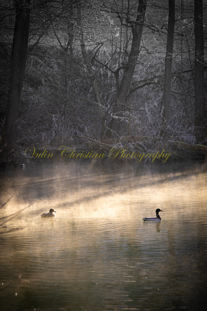 TPH 10p | Christian Vulin  - Realisiert mit Pictrs.com