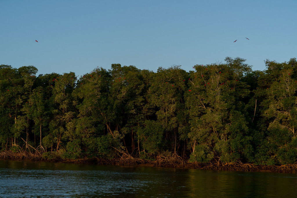 20251114-DeltaTour-0020 | paulependelt - Realisiert mit Pictrs.com