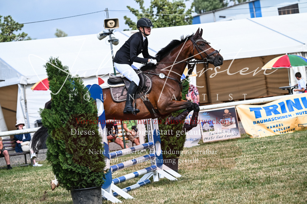 DSC_8490 | Pferde- und Turnierfotografie in Westsachsen. Pferdeportraits, Auftragszeichnungen und intuitive Kunst.