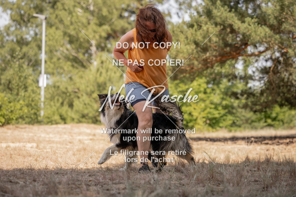 nelerasche_soDD2_471 | nelerasche