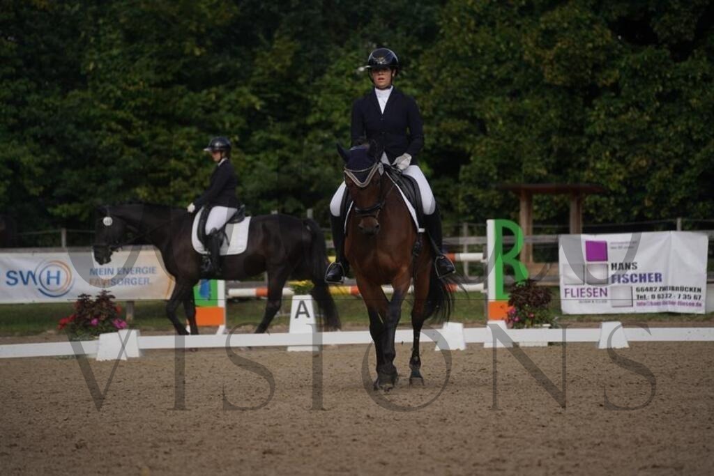 rveinoedsamstag (502) | d.tail Visions - Shop - Realisiert mit Pictrs.com