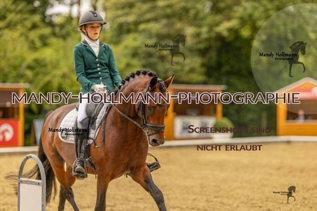 28-8-26 5j DRE-876 | mandyhollmannphotographie