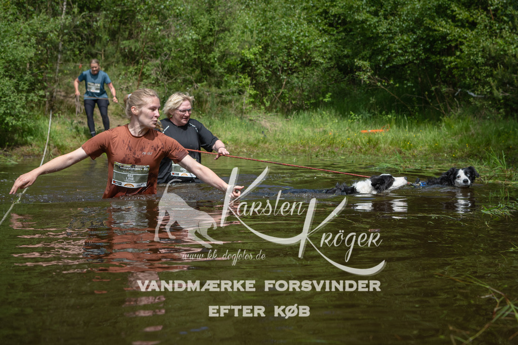 1125DKK990181 | kk-dogfotos