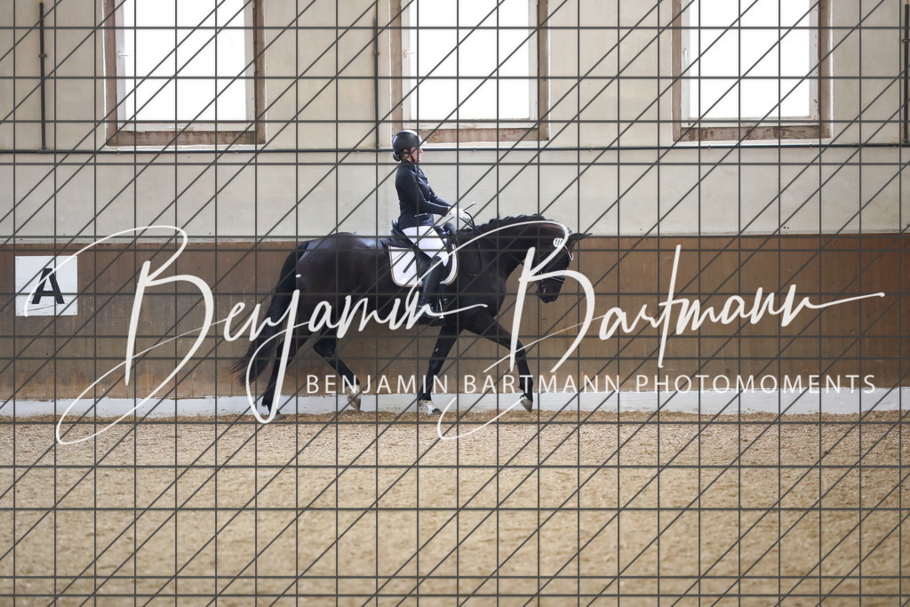 AZ2A0150 | Benjamin Bartmann Photomoments