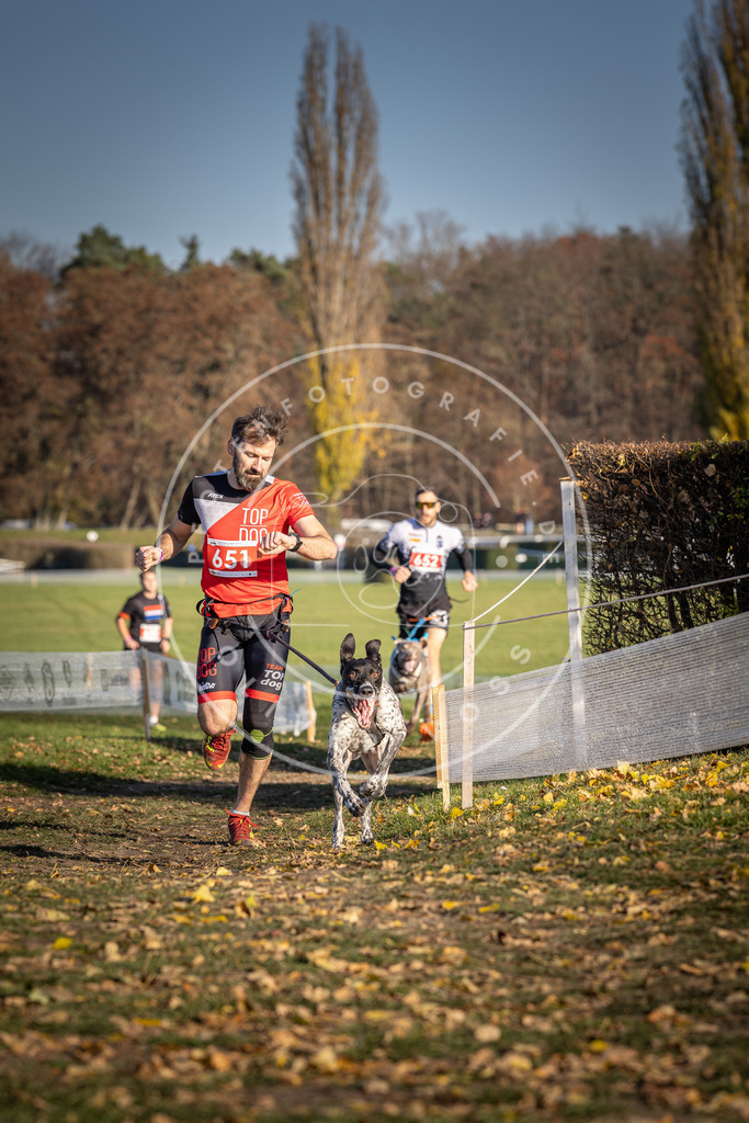 CaniXpix_DV3A0467 | Hundefotografie, Tierfotograf, Pfotenfotografie, Fotoshooting Hund, Hunde Portrait, Hundesport, Hundeportraits, Heideshooting, Hunde, Sportfotograf, Hundefotograf, Turnierhundsport, THS,  - Realisiert mit Pictrs.com