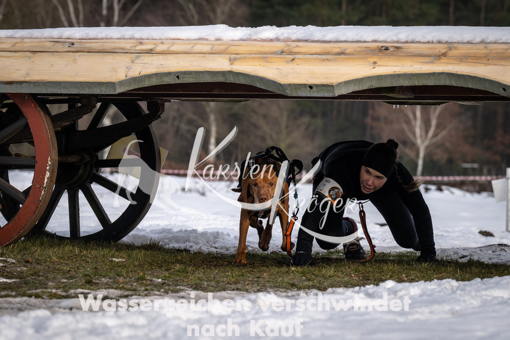 0824_ZZ91591-5 | kk-dogfotos