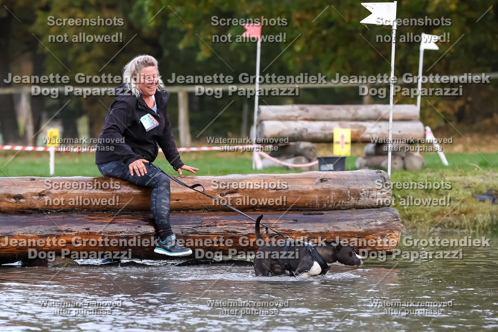 Dog Paparazzi - Strongdog 10-25-6589 | Dog Paparazzi Jeanette Grottendiek Fotografie & Videografie - Realisiert mit Pictrs.com