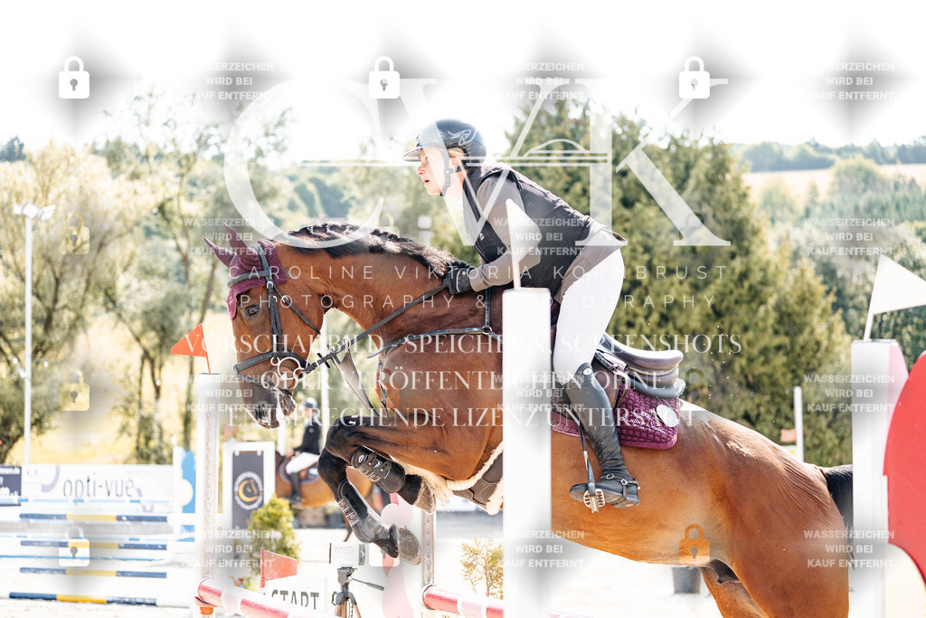 CK908641 | Turnierfotografie Pferdefotografie Trier Rheinland-Pfalz Pferdesport Reitsport Tierfotografie Sportfotografie Pferdevideo Pferdevideografie Equestrianvideography equestrianphotography  - Realisiert mit Pictrs.com