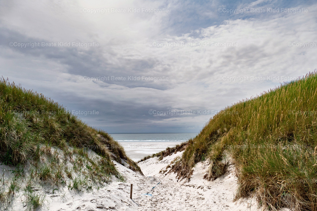 P1810409 | beatekidd-fotografie - Realisiert mit Pictrs.com