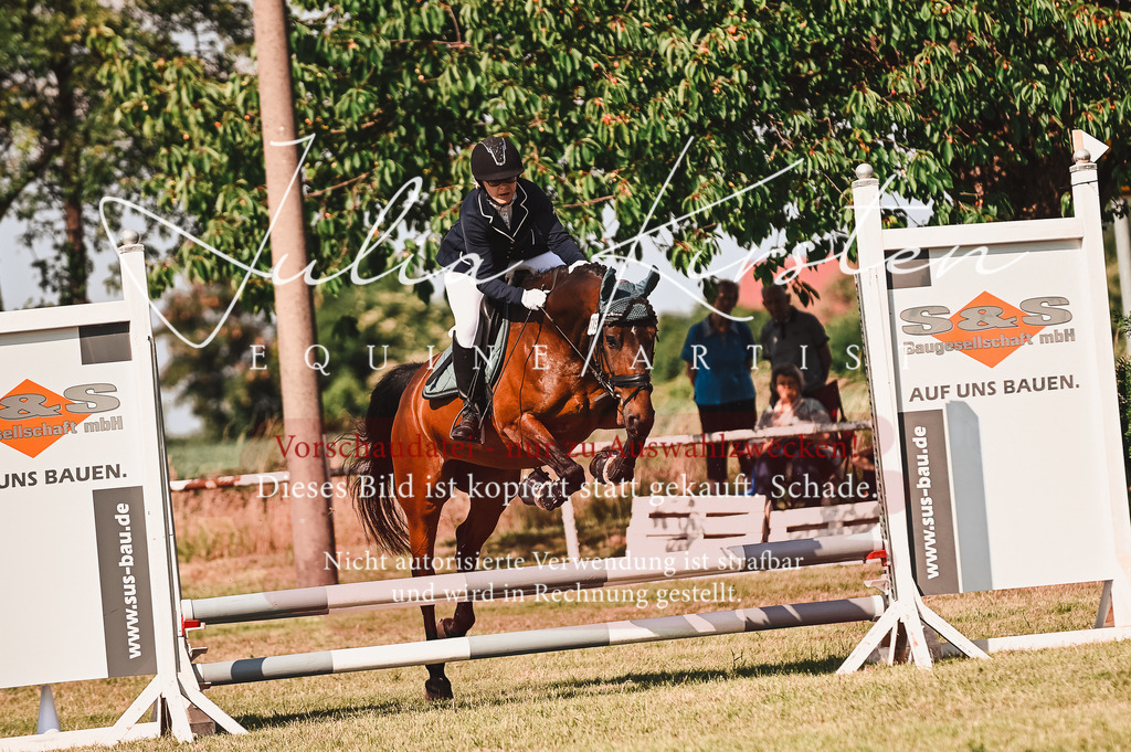 DSC_7357 | Pferde- und Turnierfotografie in Westsachsen. Pferdeportraits, Auftragszeichnungen und intuitive Kunst.