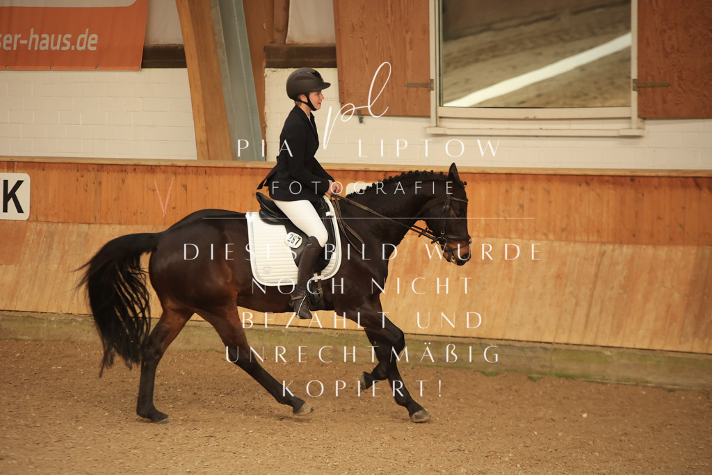 IMGT4127 | pl-fotografie