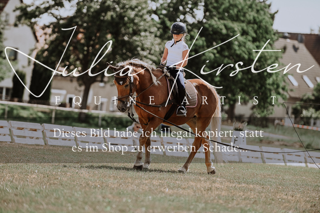 DSC_7824 | Pferde- und Turnierfotografie in Westsachsen. Pferdeportraits, Auftragszeichnungen und intuitive Kunst.