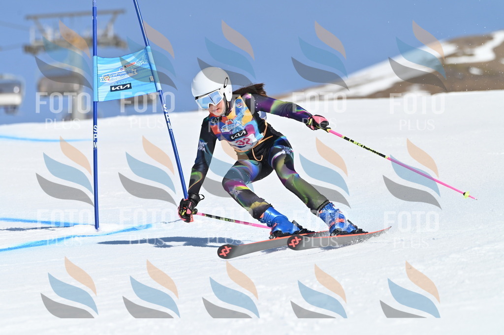 BGV_8181 | holidayphoto