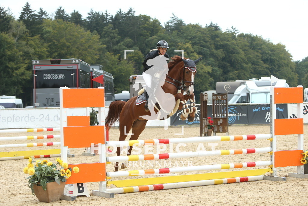 DL2Q5684 | Willkommen bei Brunnmayr - Design & Fotografie – Ihrem Spezialisten für Reitturniere und Pferdeveranstaltungen in Oberösterreich, Salzburg und Bayern! Seit über 17 Jahren sind wir leidenschaftlich dabei.