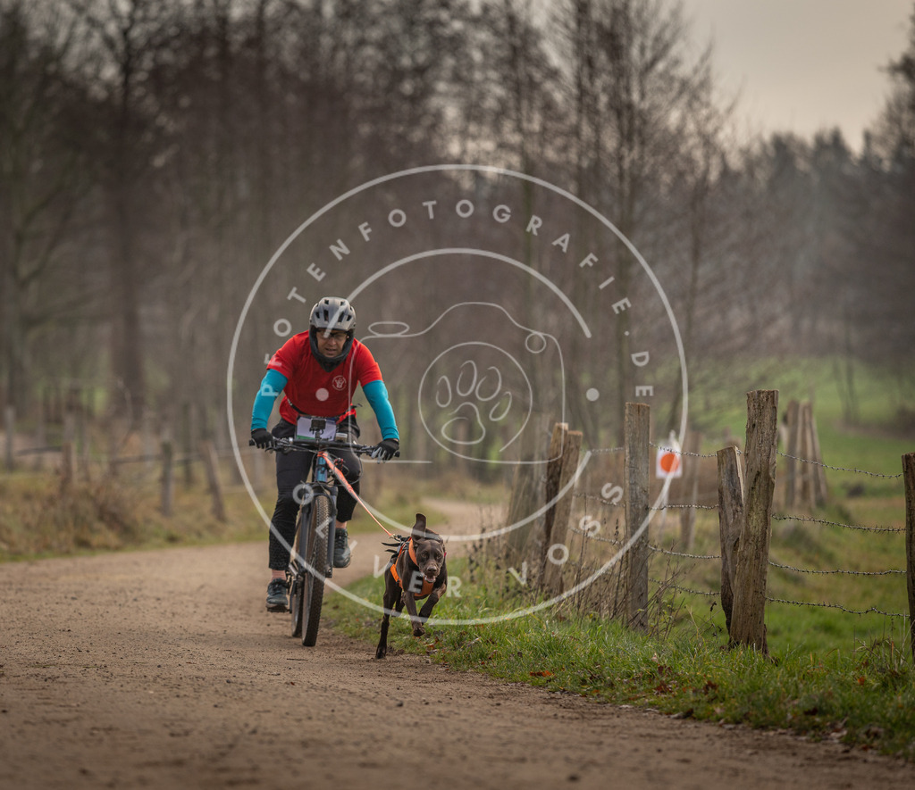 Pfotenfotografie_DV3A1860 | Hundefotografie, Tierfotograf, Pfotenfotografie, Fotoshooting Hund, Hunde Portrait, Hundesport, Hundeportraits, Heideshooting, Hunde, Sportfotograf, Hundefotograf, Turnierhundsport, THS,  - Realisiert mit Pictrs.com