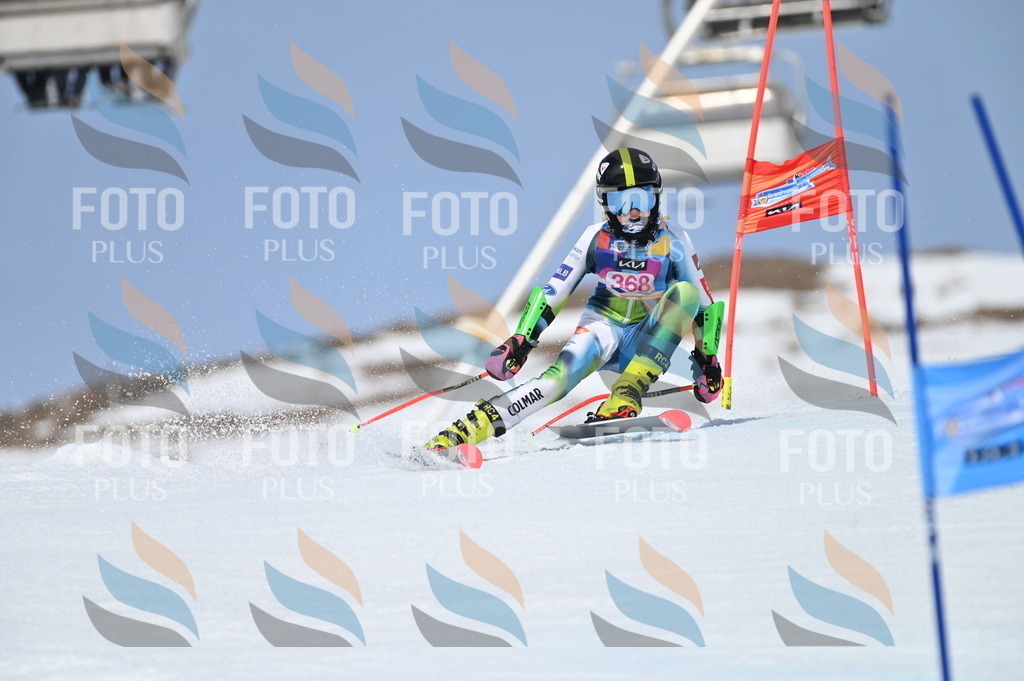 BGV_3991 | holidayphoto