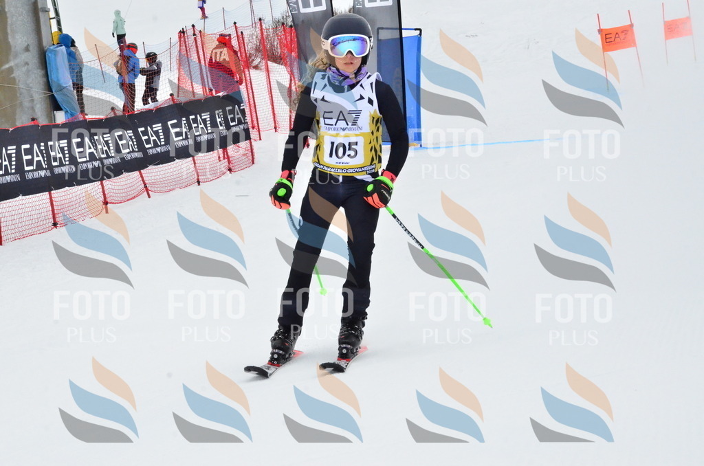 _ELE3566 | holidayphoto