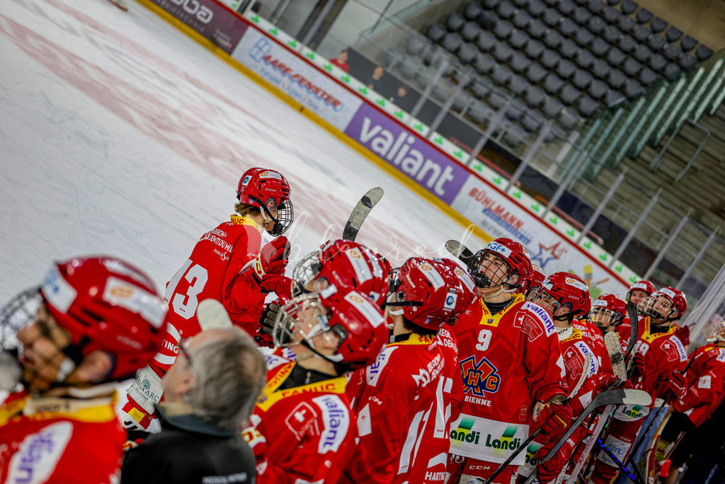 EHCB vs HCD-1648 | Sportbilder, Sportfotograf, Hochzeits- und Eventfotografin, Flugshows, Portraits und Tiershooting, Aviation, Downhill, Nationalleague, Swissleague, International