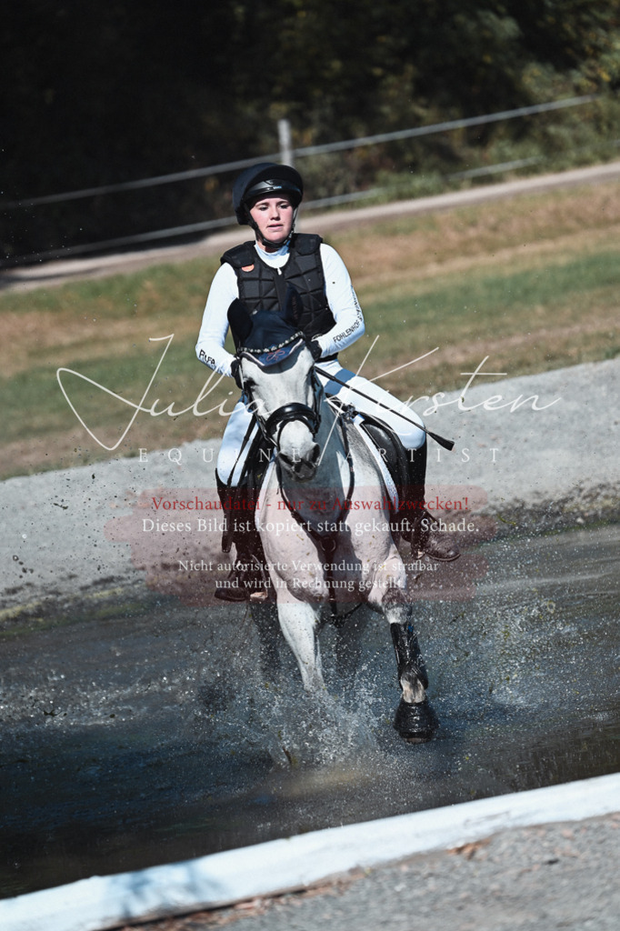DSC_8541 | Pferde- und Turnierfotografie in Westsachsen. Pferdeportraits, Auftragszeichnungen und intuitive Kunst.