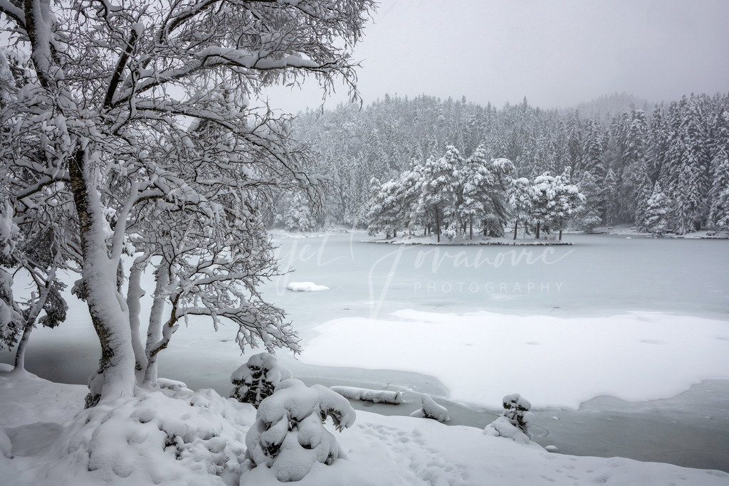 Möserer See | winter wonderland am Möserer See