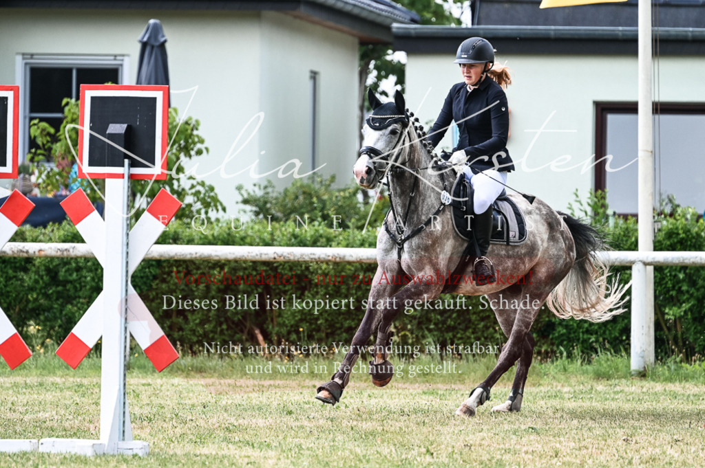 DSC_8922 | Pferde- und Turnierfotografie in Westsachsen. Pferdeportraits, Auftragszeichnungen und intuitive Kunst.