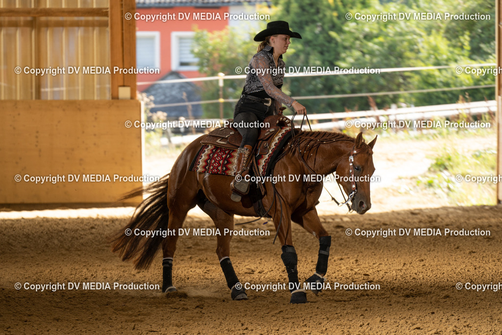 LAU01771 | dv-media-shop - Realisiert mit Pictrs.com