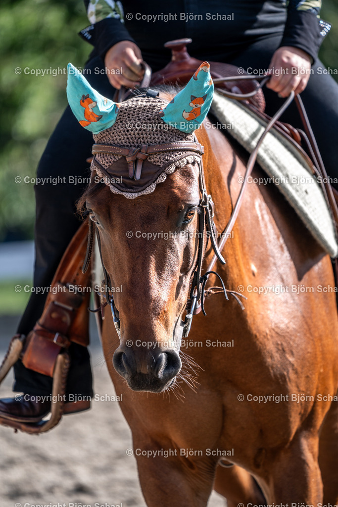 HOB08255 | BS-foto