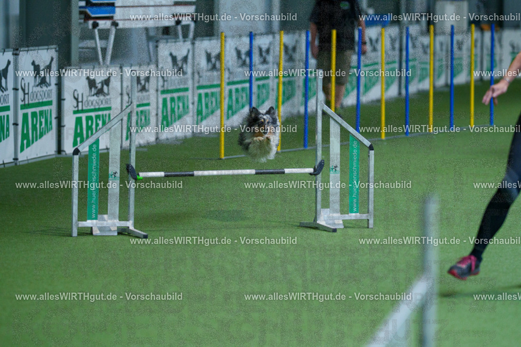 @allesWIRTHgut_Tierfotografie - www.allesWIRTHgut.de - 2604261458-7R504227 | Professionelle Tierfotografie in Mönchengladbach von Daniel Wirth (allesWIRTHgut). Liebevolle & natürliche Bilder von Hunden & Katzen für unvergessliche Erinnerungen.