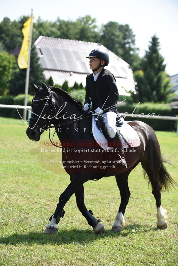 DSC_9902 | Pferde- und Turnierfotografie in Westsachsen. Pferdeportraits, Auftragszeichnungen und intuitive Kunst.