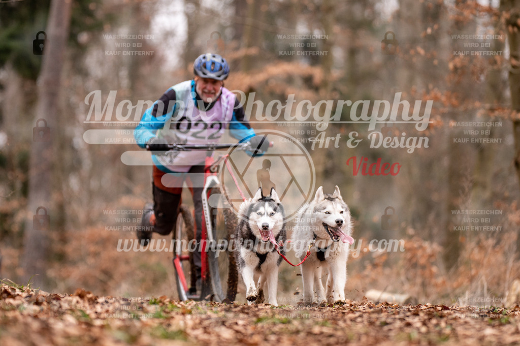 AKM_ST_2023_SAM_DS2-57 | mompixphotography