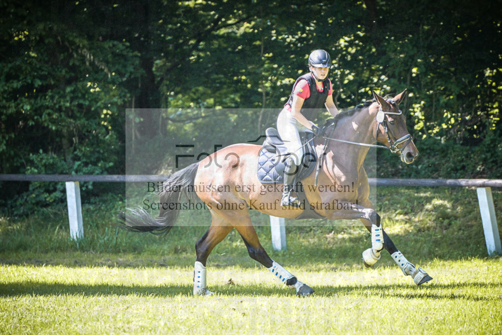 DOS_5571 | Entdecke hochwertige Reitturnierfotos von Foto Oger. Professionell, emotional und authentisch – jetzt Lieblingsmomente im Shop bestellen.Deutschlandweite Turnierfotografie. - Realisiert mit Pictrs.com