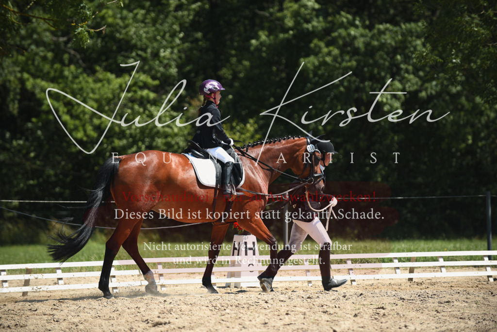 DSC_1853 | Pferde- und Turnierfotografie in Westsachsen. Pferdeportraits, Auftragszeichnungen und intuitive Kunst.